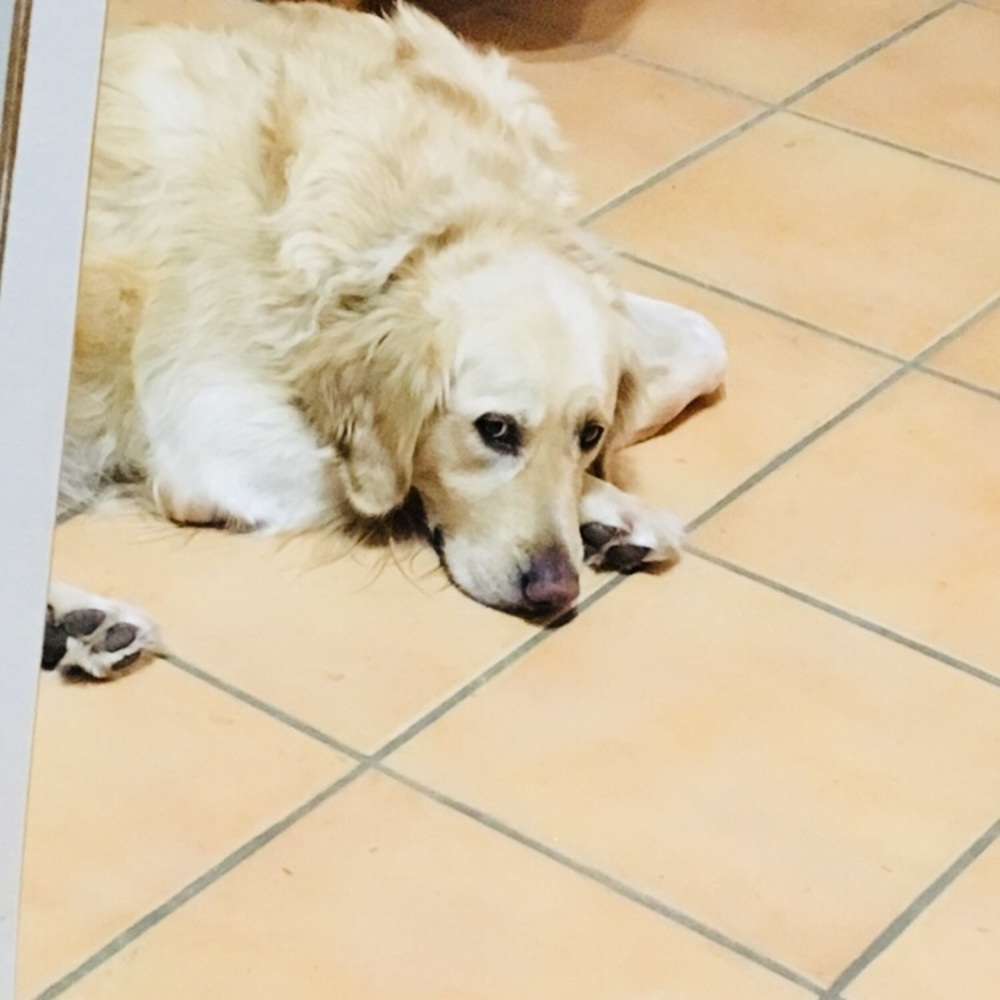 Meet your Posher, Kim! Feel free to make an offer!